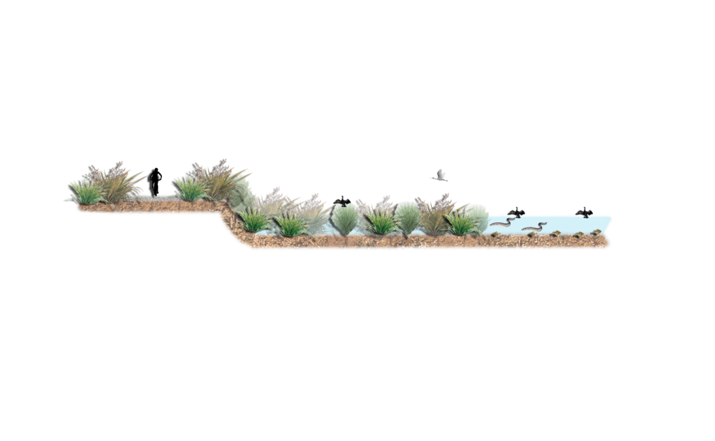 lakes edgeeeeeeeee cross section v2